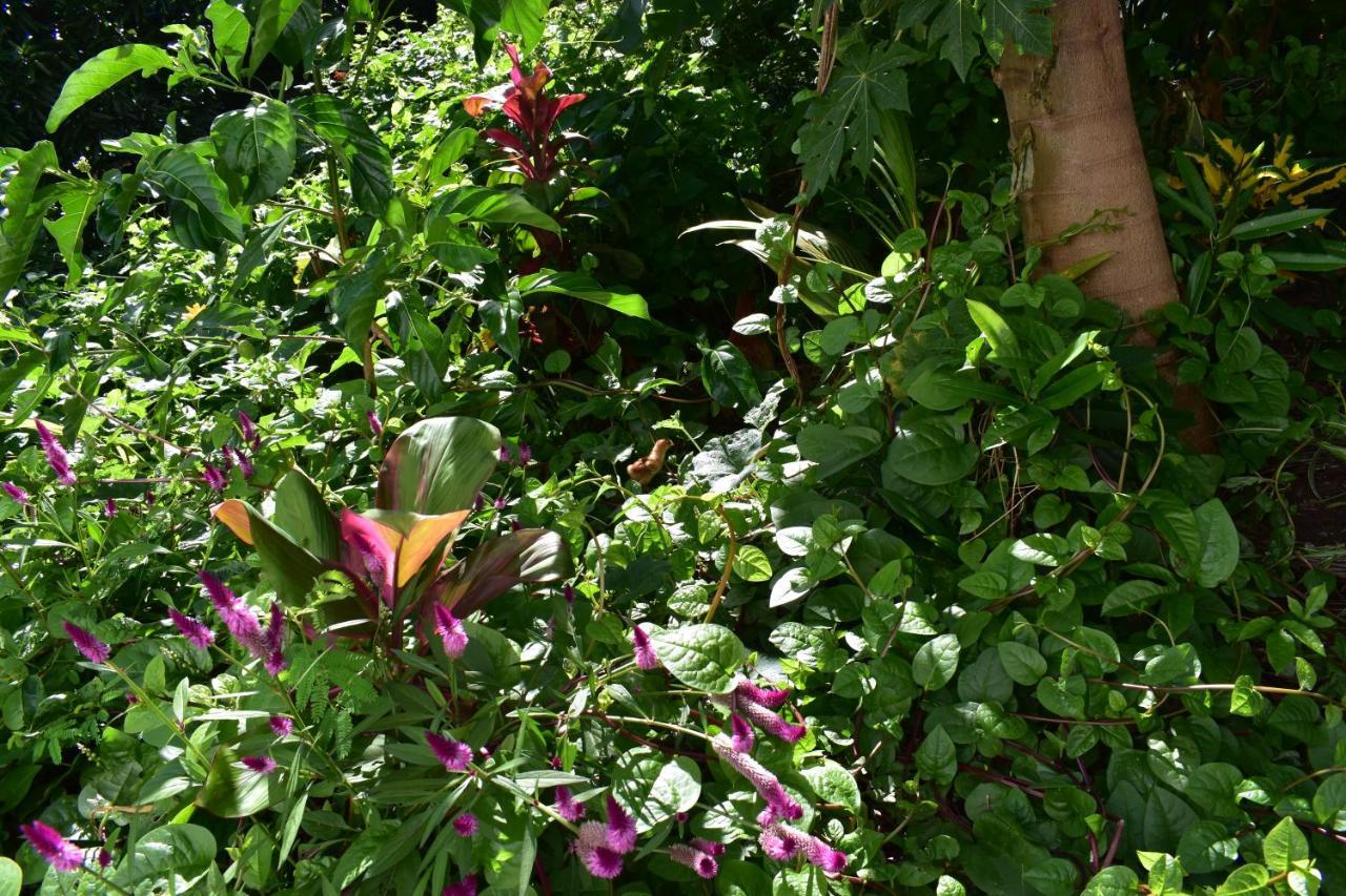 Les Antigones Bed & Breakfast Port Mathurin Exterior photo