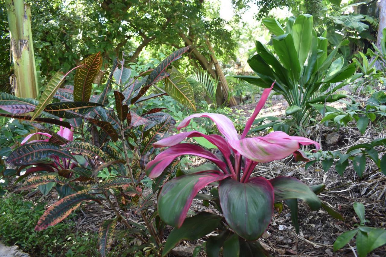 Les Antigones Bed & Breakfast Port Mathurin Exterior photo