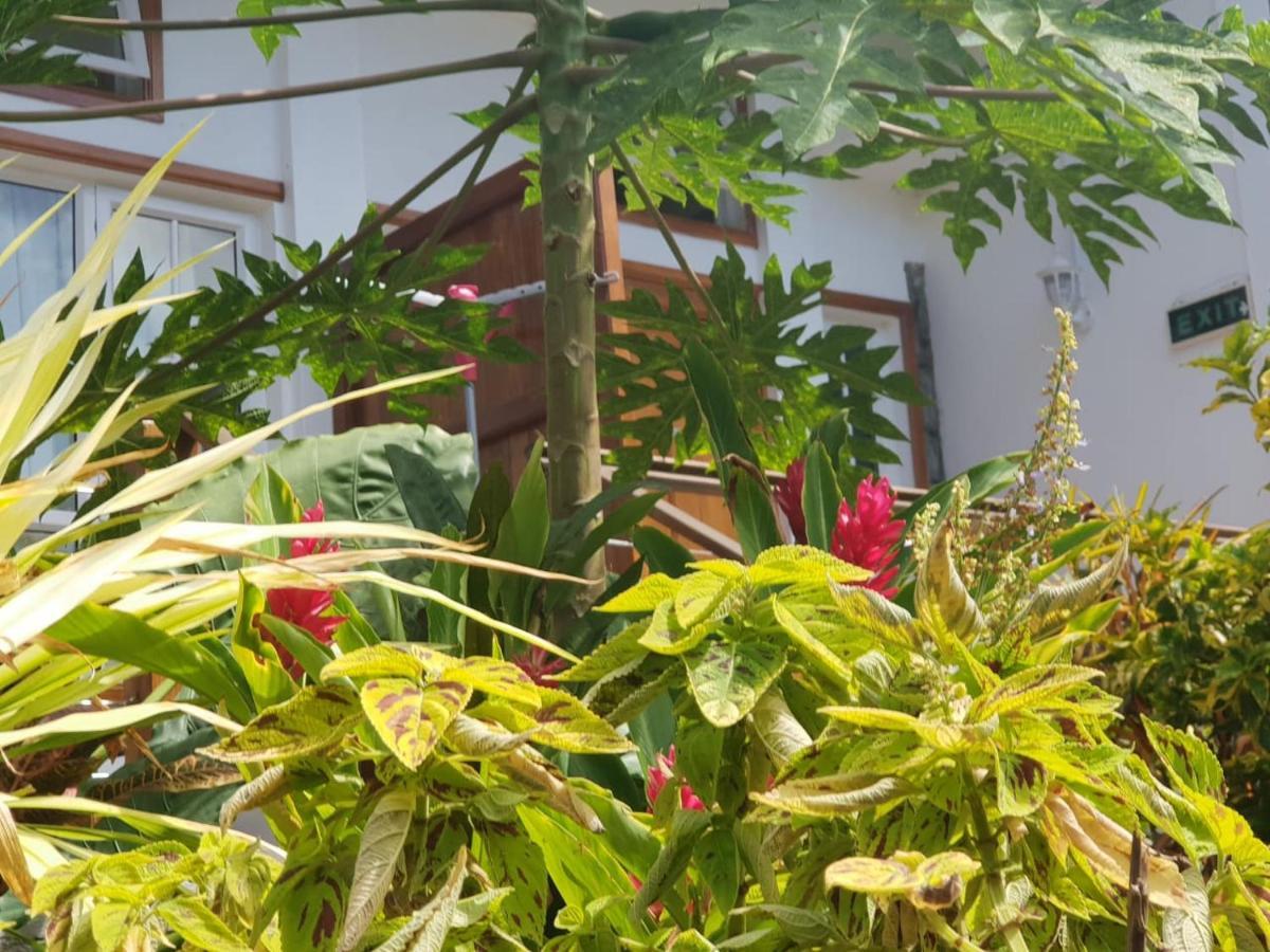 Les Antigones Bed & Breakfast Port Mathurin Exterior photo